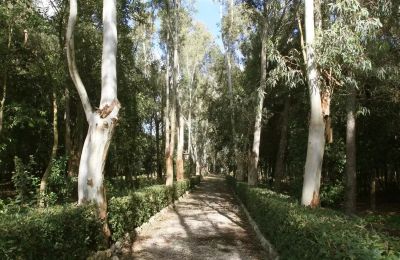 Historische villa te koop Lecce, Puglia, Toegang