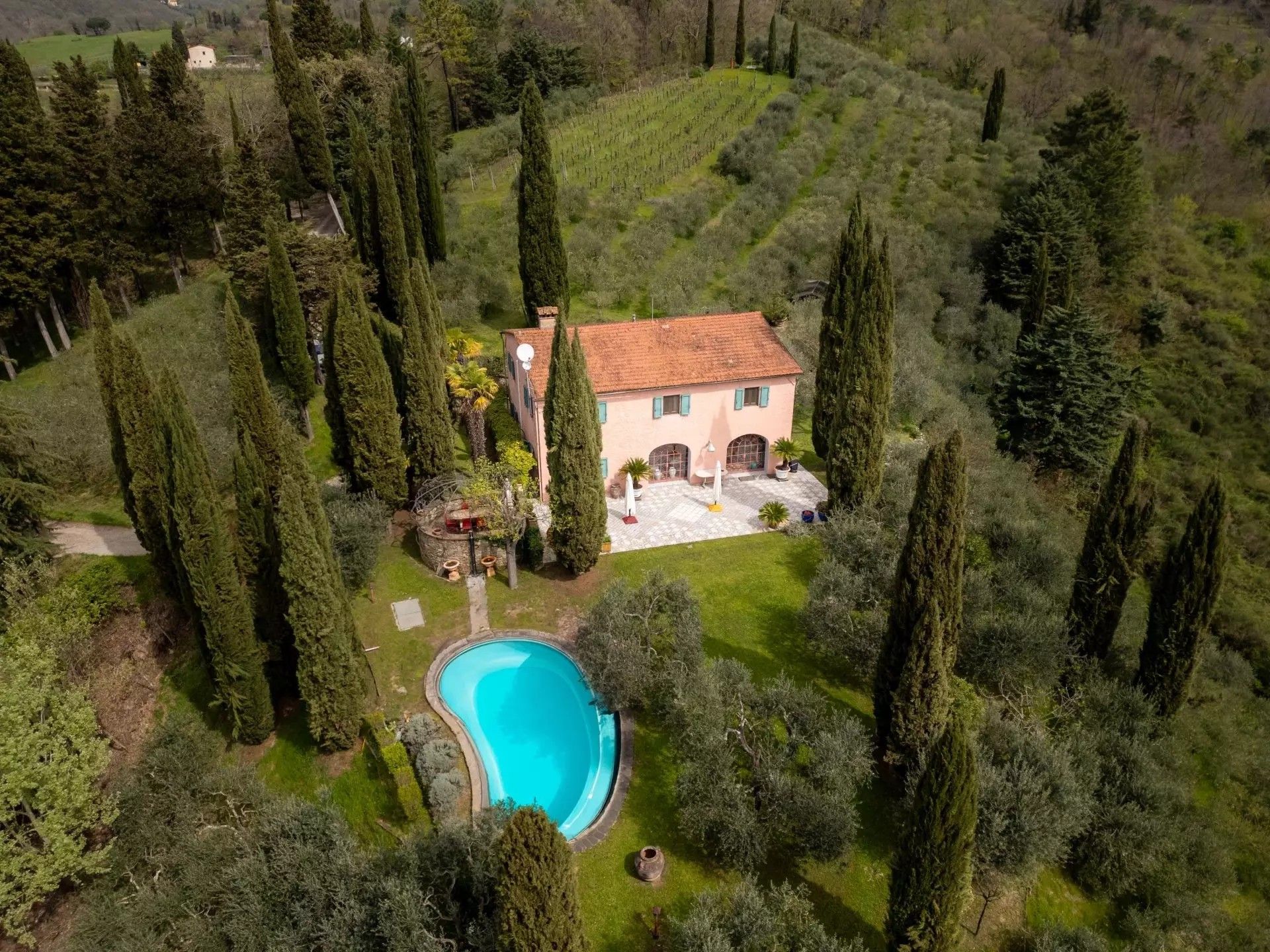 Images Mugello: Gerenoveerd landhuis met wijngaard ten noorden van Florence