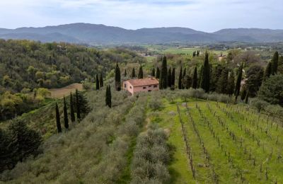 Plattelandswoning te koop Vicchio, Toscane, Foto 36/39