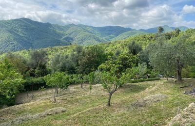 Landelijk huis te koop Onzo, Ligurië, Foto 21/31