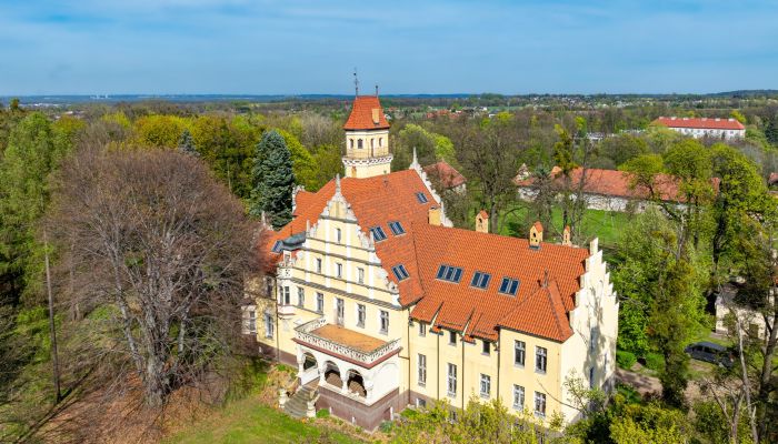 Kasteel Ornontowice 3