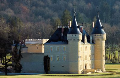 Vastgoed, Exclusief prestigieus kasteel in Frankrijk met uitgestrekt terrein