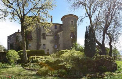 Vastgoed, Gerenoveerd kasteel in een natuurpark, Zuid-Frankrijk