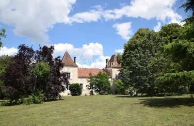 Vastgoed, Chateau in Nieuw-Aquitaine, rustig gelegen op het platteland