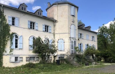 Kasteel te koop Pontacq, Nouvelle-Aquitaine, Achteraanzicht