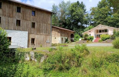 Molen te koop Pissos, Nouvelle-Aquitaine, Foto 2/14