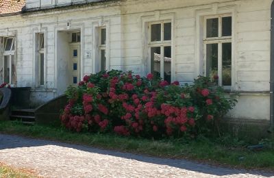 Landhuis te koop 18556 Zürkvitz,  Zürkwitzer Str. 15, Mecklenburg-Vorpommern, Foto 20/23