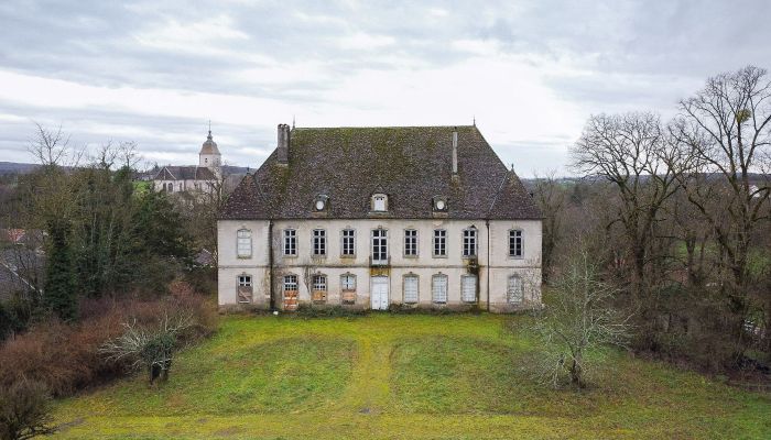 Kasteel Besançon 2