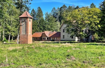 Plattelandswoning te koop Zegrze Pomorskie, województwo zachodniopomorskie, Foto 6/7