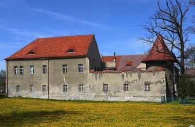 Vastgoed, Oud kasteel in Polen bij Wałbrzych