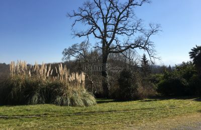 Kasteel te koop Pau, Nouvelle-Aquitaine, Park