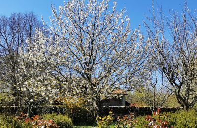 Landhuis te koop Marciac, Occitanie, Tuin