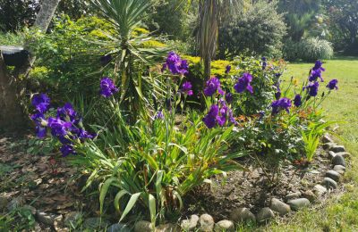 Landhuis te koop Marciac, Occitanie, Tuin