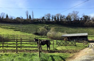 Landhuis te koop Pau, Nouvelle-Aquitaine, Eigendom