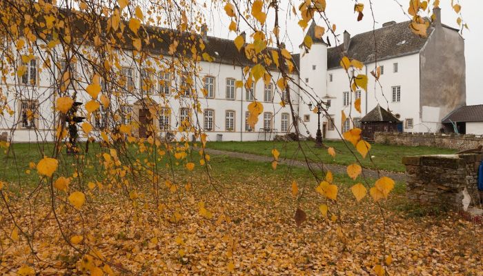 Kasteel Roussy-le-Bourg 2