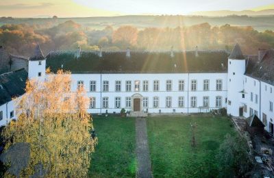 Kasteel te koop Roussy-le-Bourg, Grand-Est, Dronefoto