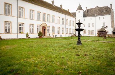 Kasteel te koop Roussy-le-Bourg, Grand-Est, Binnenplaats