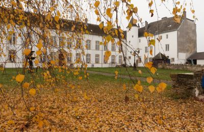 Kasteel te koop Roussy-le-Bourg, Grand-Est, Buitenaanzicht