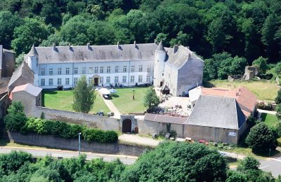 Kasteel te koop Roussy-le-Bourg, Grand-Est, Château de Roussy-Comté