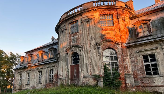 Kasteel Minkowskie 4