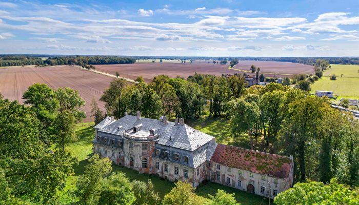 Kasteel Minkowskie 5