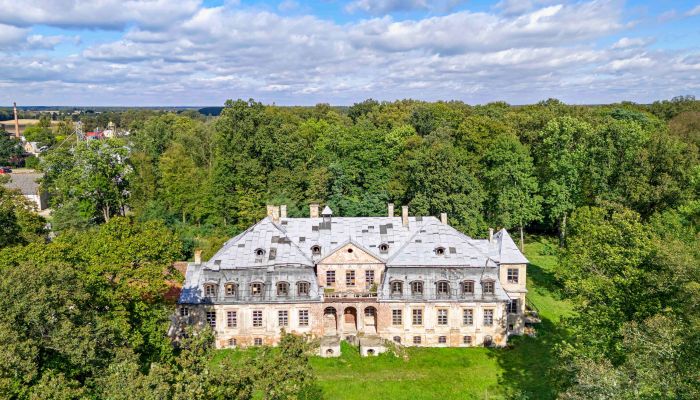 Kasteel te koop Minkowskie, województwo opolskie,  Polen, 3