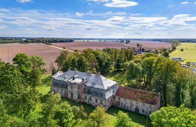 Kasteel te koop Minkowskie, Minkowskie  69, województwo opolskie, Foto 5/43