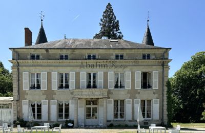 Kasteel te koop Centre-Val de Loire, Achteraanzicht