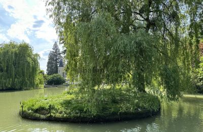 Kasteel te koop Centre-Val de Loire, Park