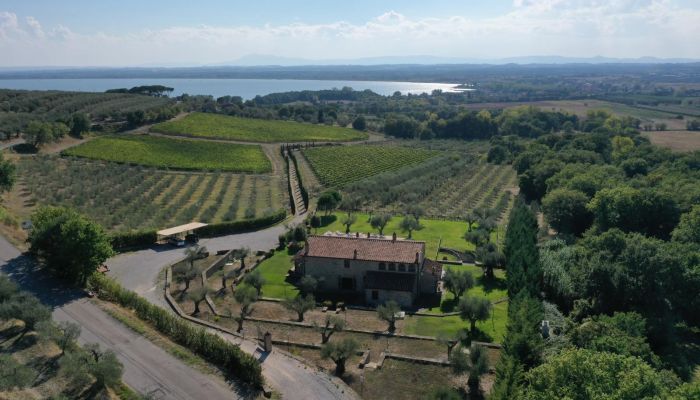 Boerderij Tuoro sul Trasimeno 2