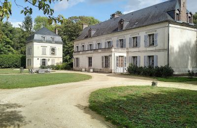 Kasteel te koop Bourgogne-Franche-Comté, Achteraanzicht