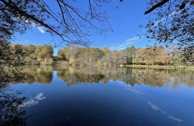 Landhuis te koop Eauze, Occitanie, Vijver/Meer