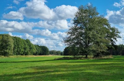 Landhuis te koop 18461 Grenzin, Mecklenburg-Vorpommern, Wiese links