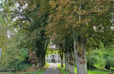 Landhuis te koop 18461 Grenzin, Mecklenburg-Vorpommern, Allee zum Haus