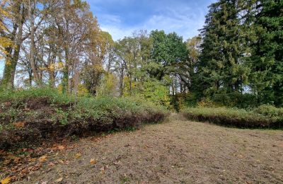 Kasteel te koop Grabiszyce Średnie, województwo dolnośląskie, Foto 20/23