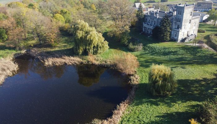 Kasteel Górki Dąbskie 3