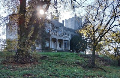 Kasteel te koop Górki Dąbskie, Pałac w Górkach Dąbskich, województwo kujawsko-pomorskie, Foto 14/22