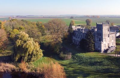 Kasteel te koop Górki Dąbskie, Pałac w Górkach Dąbskich, województwo kujawsko-pomorskie, Omgeving van het pand