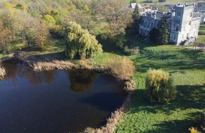 Kasteel te koop Górki Dąbskie, Pałac w Górkach Dąbskich, województwo kujawsko-pomorskie, Eigendom