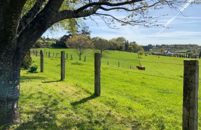 Boerderij te koop Melide, Cabazás, Galicië, Campo de la propiedad