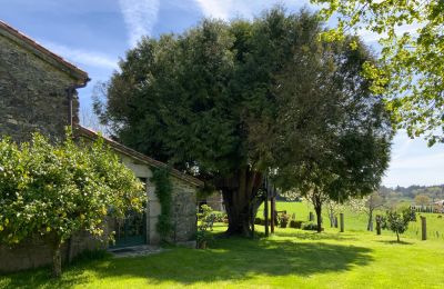 Boerderij te koop Melide, Cabazás, Galicië, Terraza y jardín