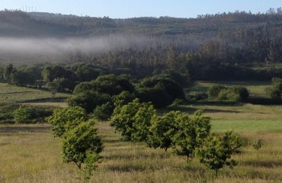 Boerderij te koop Moeche, Sta Cruz de Moeche, Galicië, Omgeving van het pand