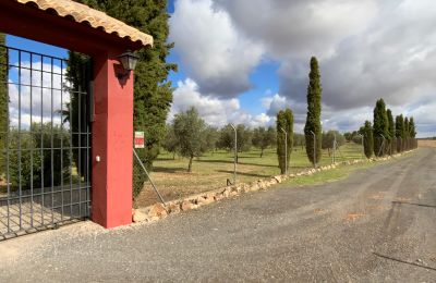 Boerderij te koop Almagro, Almagro, Castilla-La Mancha, Toegang