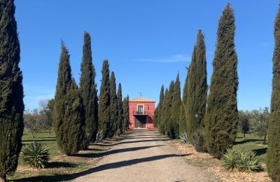 Boerderij te koop Almagro, Almagro, Castilla-La Mancha, Entrada arbolada con cipreses