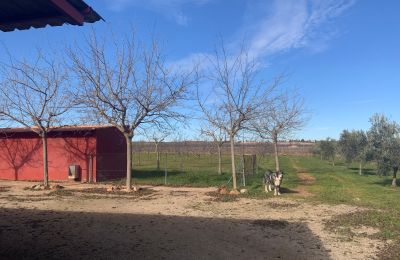 Boerderij te koop Almagro, Almagro, Castilla-La Mancha, Propiedad con almendros