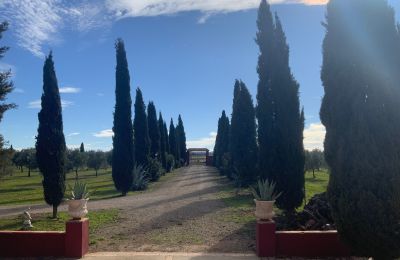 Boerderij te koop Almagro, Almagro, Castilla-La Mancha, Toegang