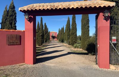 Boerderij Almagro, Castilla-La Mancha