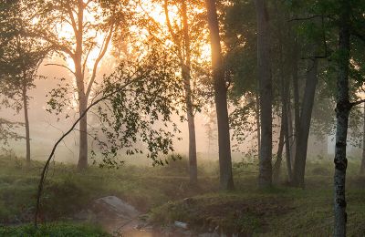 Landhuis te koop Virķēni, Virķēnu muiža, Vidzeme, Foto 18/23