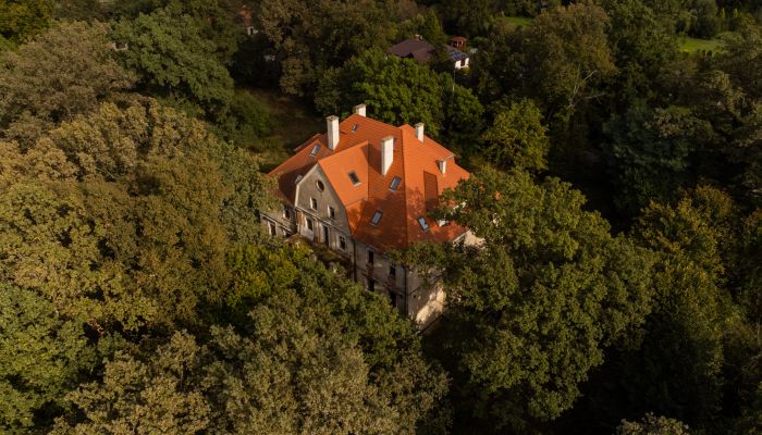 Kasteel te koop Wilków, województwo opolskie,  Polen