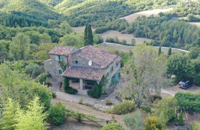 Boerderij te koop 06010 Monte Santa Maria Tiberina, Umbria, Foto 5/50